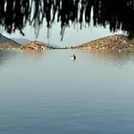 מלון Dolphin 3*