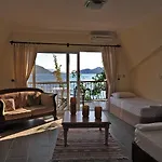 Dolphin 3*