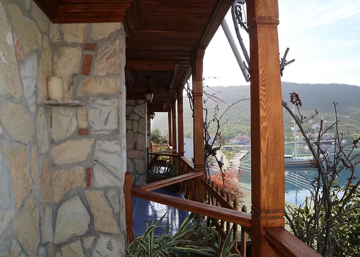 Dolphin Hotel 3*