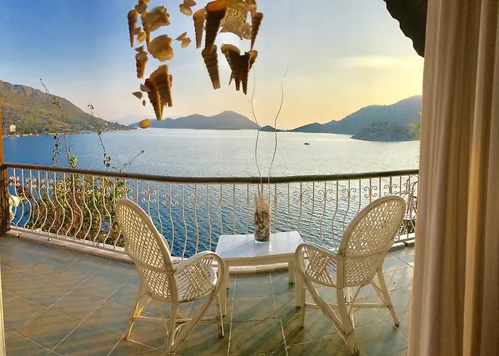Dolphin Hotel