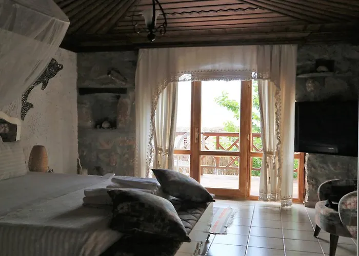 Dolphin Hotel 3*