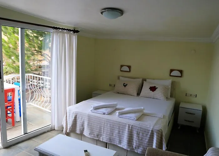 Dolphin Hotel