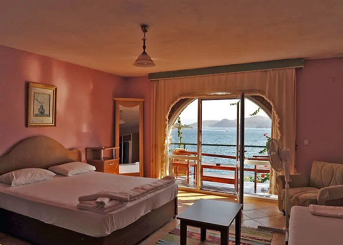 Dolphin Hotel 3*