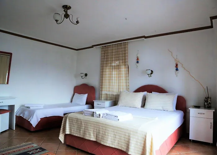 Hotel Dolphin 3*