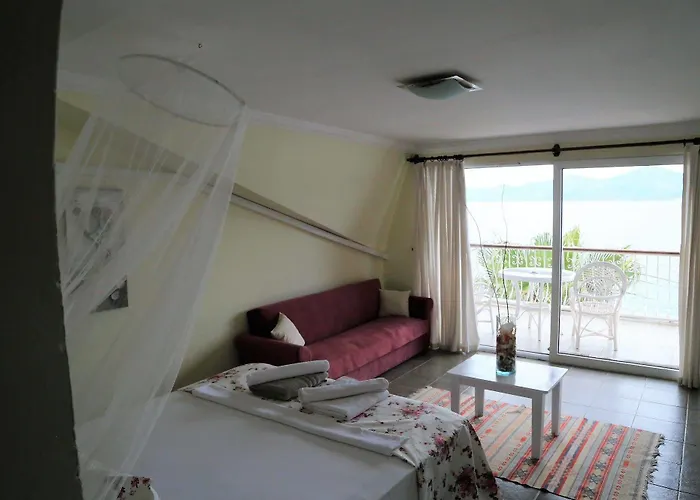 Hotel Dolphin 3*