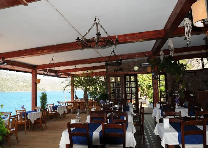 Dolphin Selimiye (Aegean)