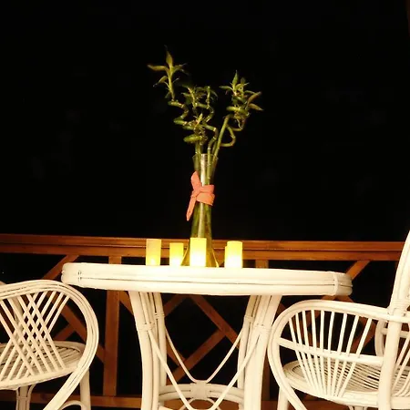 Dolphin Selimiye (Aegean)