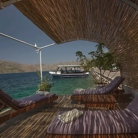 Dolphin Selimiye (Aegean)