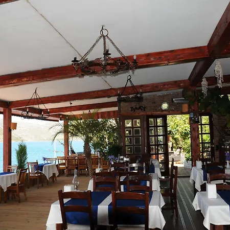 Dolphin Selimiye (Aegean)