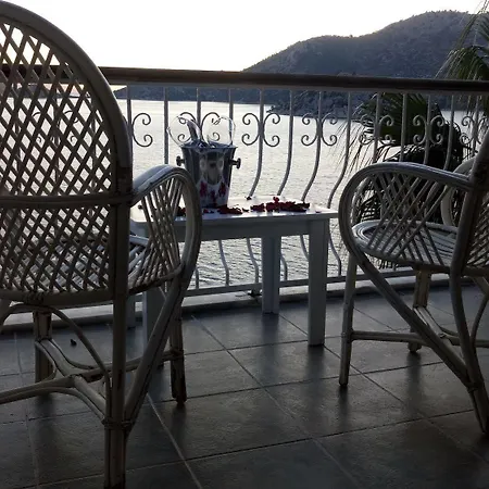 Dolphin Selimiye (Aegean)