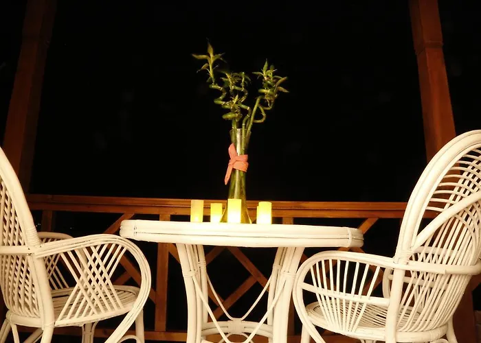 Dolphin סלימייה