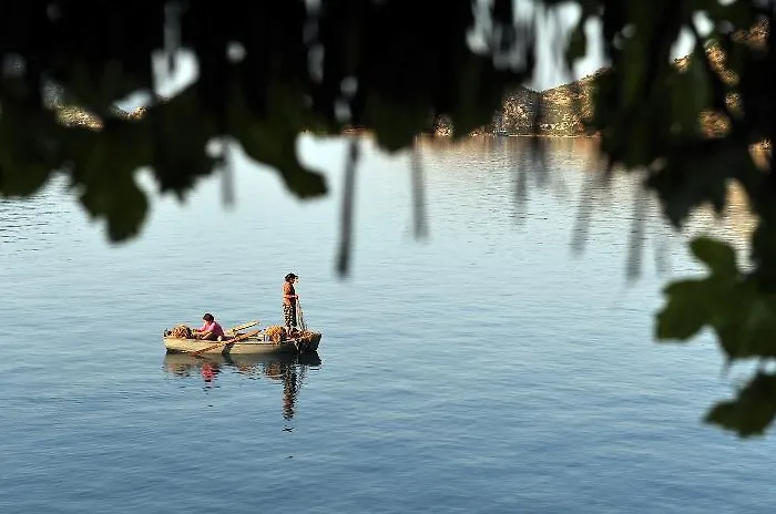 Dolphin 3* סלימייה