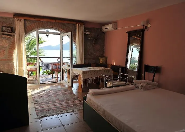 Dolphin סלימייה