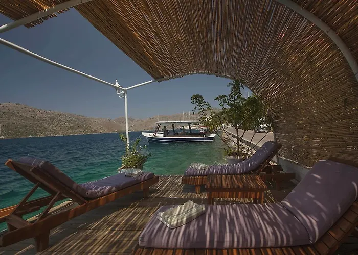 Dolphin סלימייה