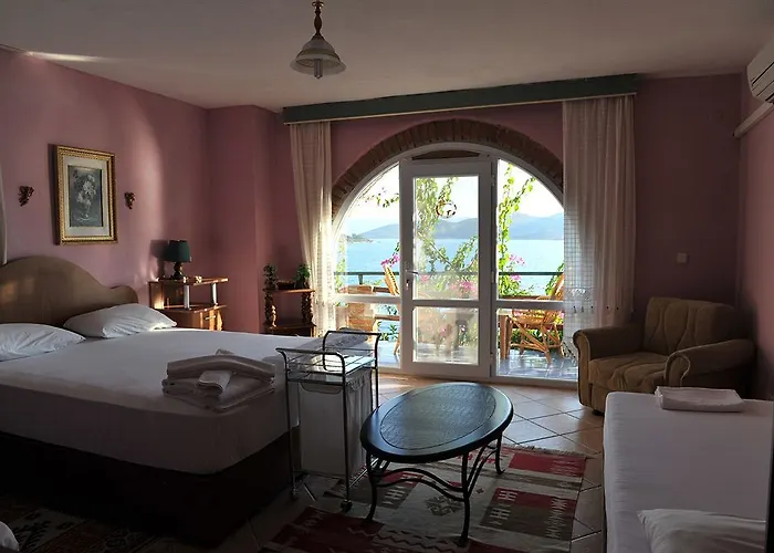 Dolphin סלימייה