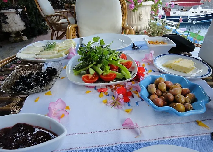 Hotel Dolphin Selimiye (Aegean)