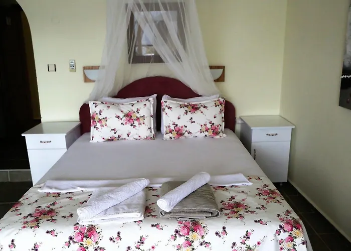 Dolphin סלימייה