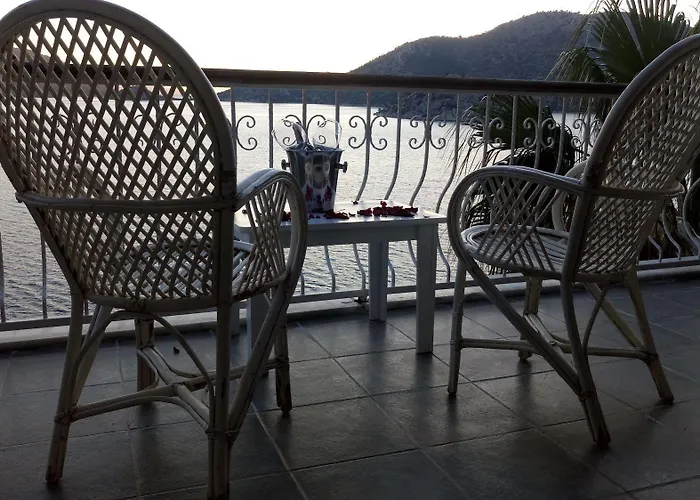 Dolphin סלימייה